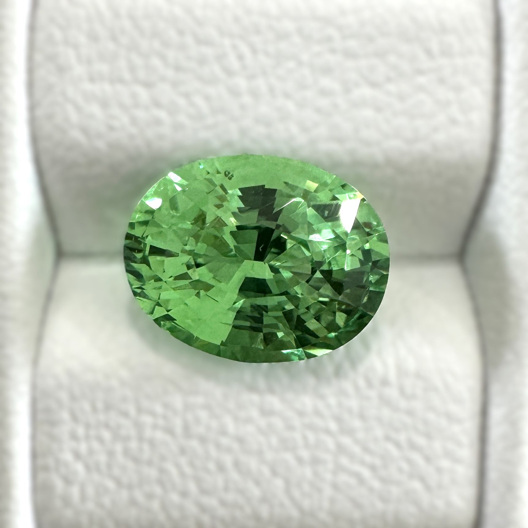 Tsavorite Garnet 2.55ct Oval