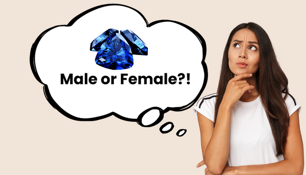 are all gems female or are any male